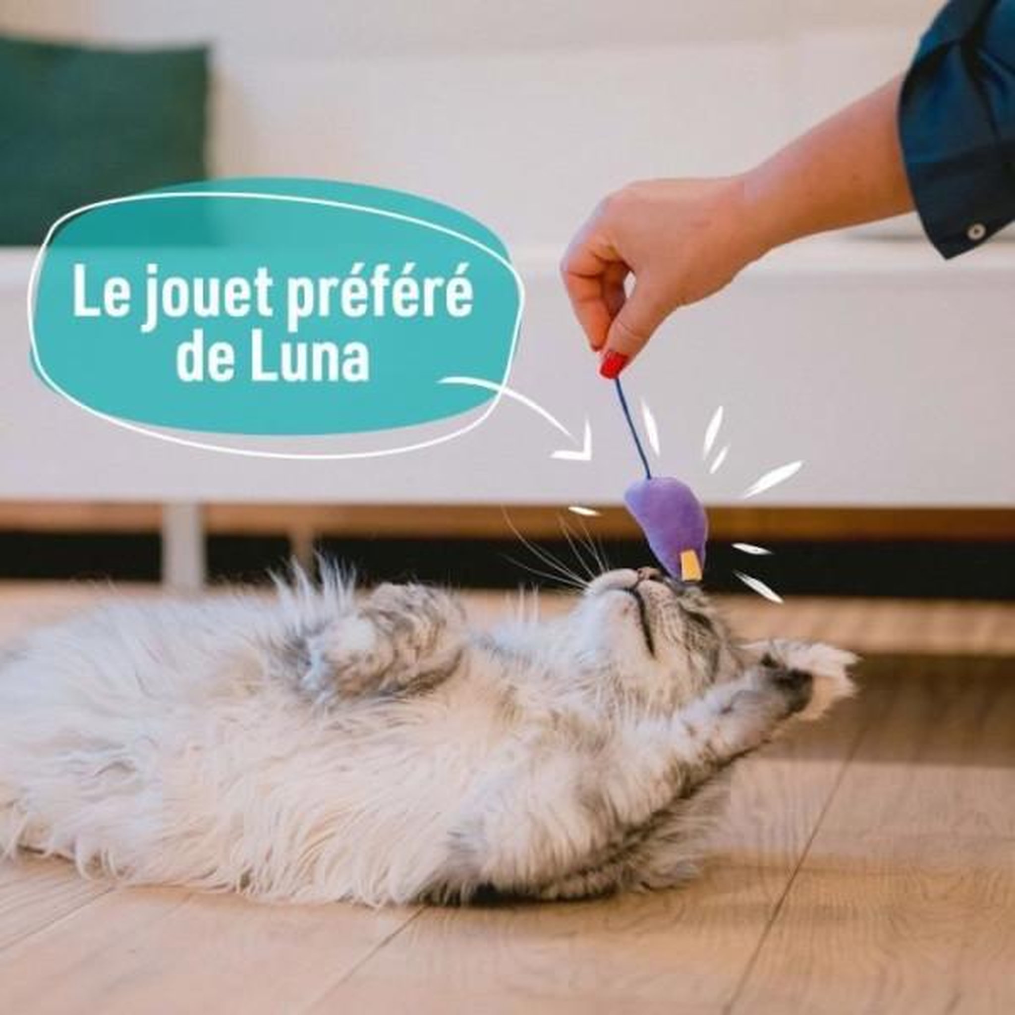 Voir la diapositive 4 : MARKET24 7 jouets pour Chat - AIMÉ