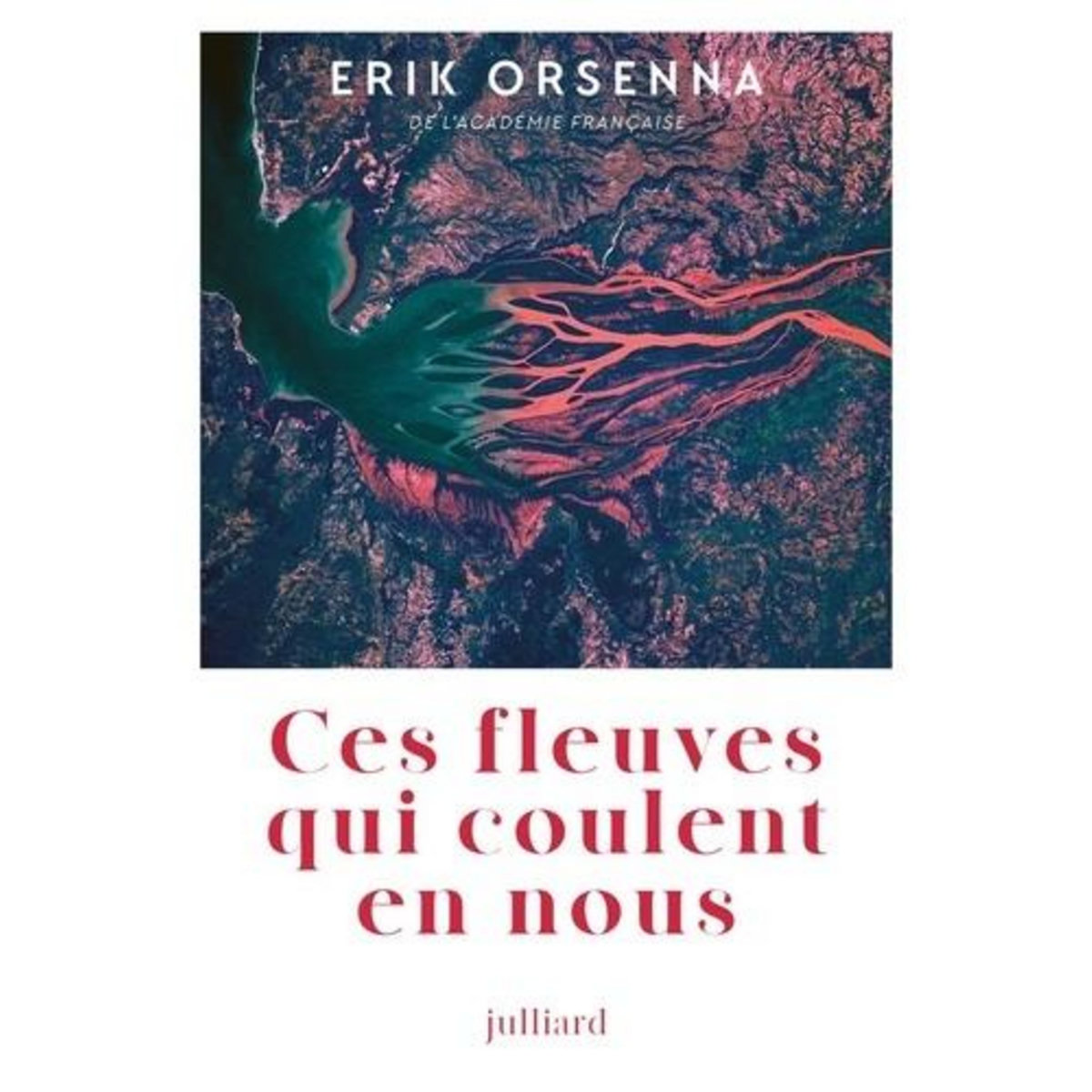 CES FLEUVES QUI COULENT EN NOUS, Orsenna Erik