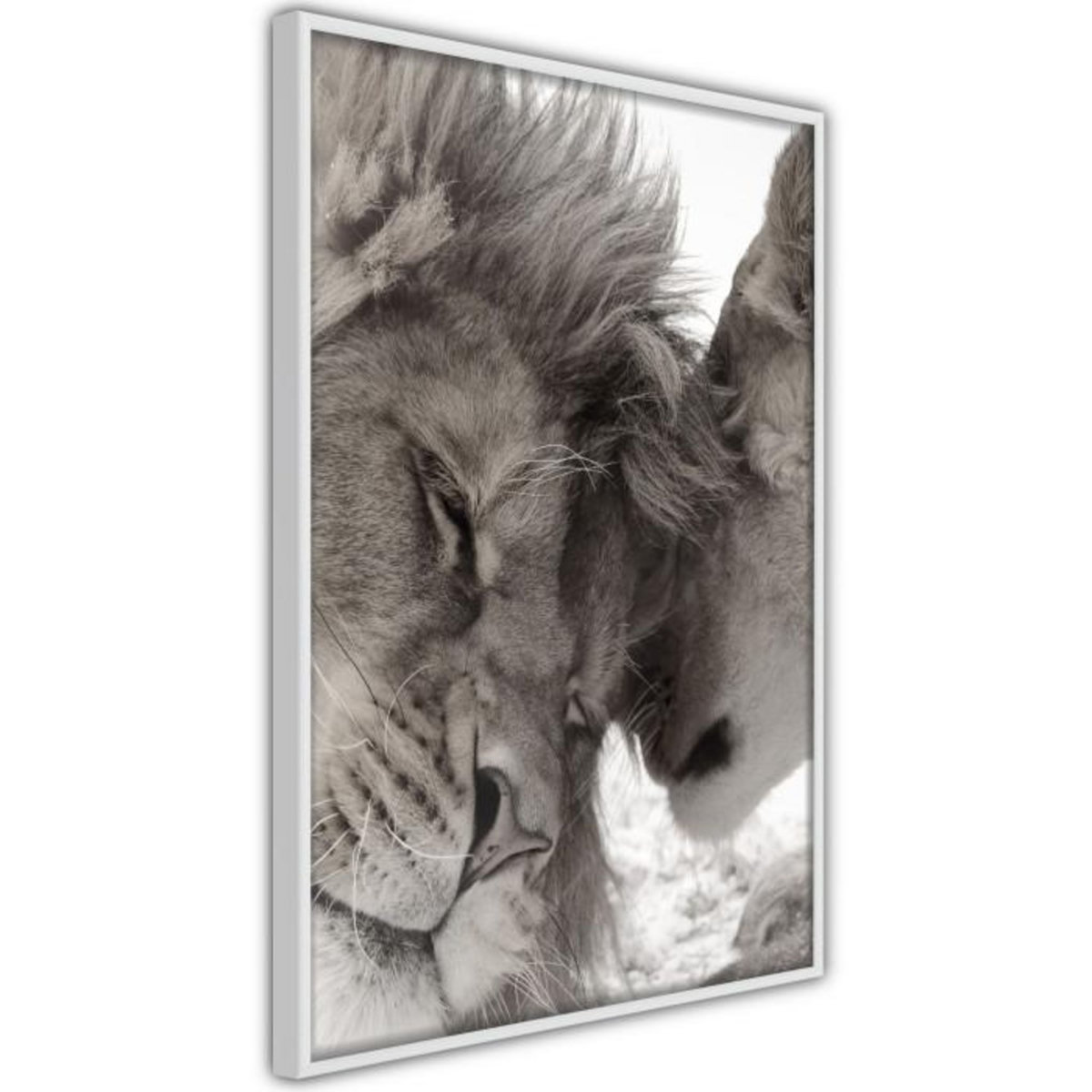 Paris Prix Affiche Murale Encadrée  Predatory Couple