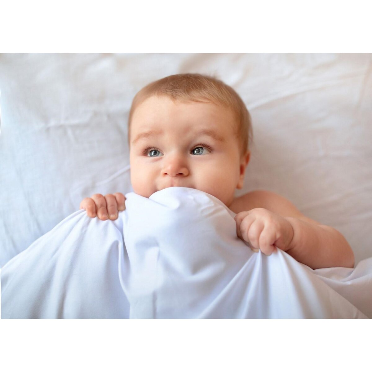 Home collection Couette blanche 80x120m 100% coton bio 500gr fab fr