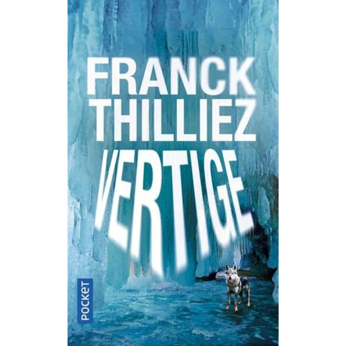 VERTIGE, Thilliez Franck