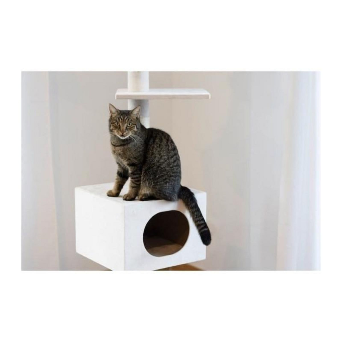 KERBL Arbre a chat - 38 x 38 x 240 a 260 cm - Ferdi - KERBL - Blanc - Sisal