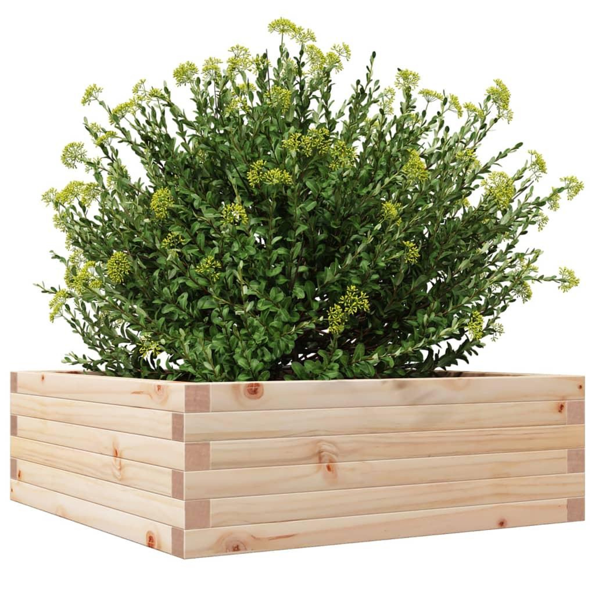 Voir la diapositive 4 : VIDAXL Jardiniere 70x70x23 cm bois de pin massif