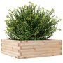 Voir la diapositive 4 : VIDAXL Jardiniere 70x70x23 cm bois de pin massif