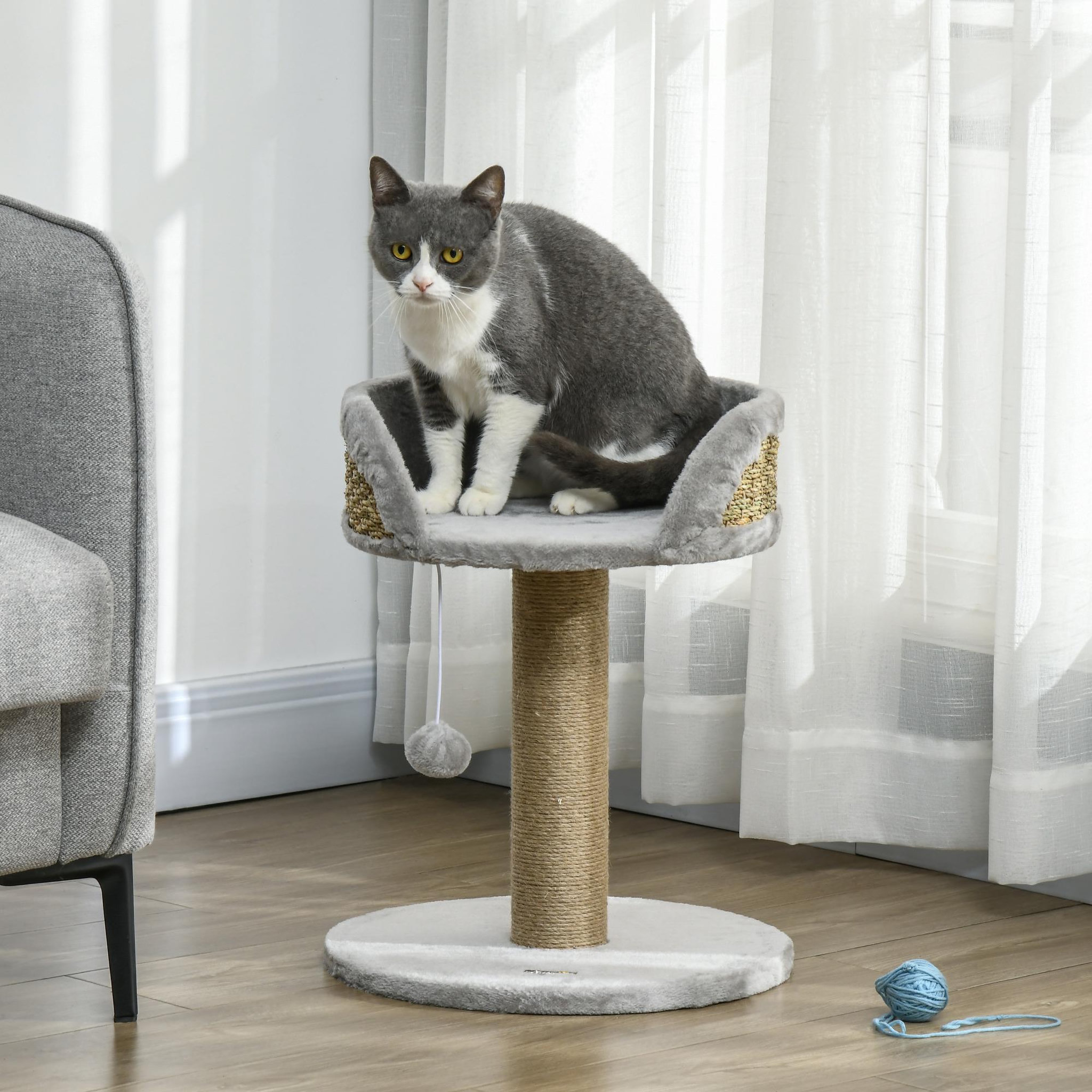 Voir la diapositive 2 : PAWHUT Arbre à chat griffoir 2 niveaux h. 49 cm - poteau sisal, plateforme observation, jeu de boule suspendue - jute polyester gris