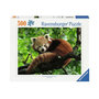 Voir la diapositive 1 : RAVENSBURGER Ravensburger - Jigsaw Puzzle Cute Red Panda, 500pcs. 120003694