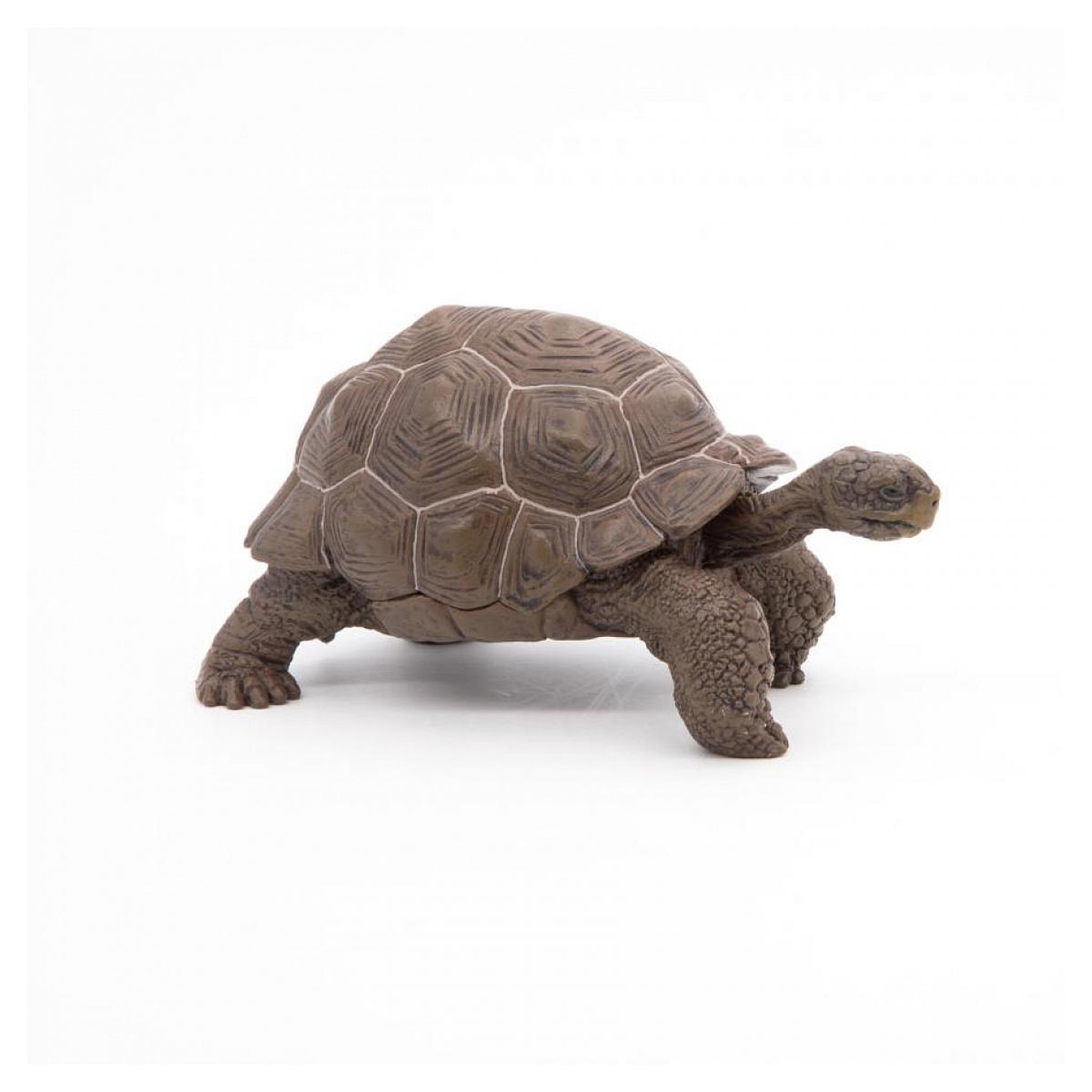 Voir la diapositive 4 : Papo Tortue des galapagos  figurine