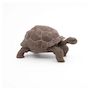 Voir la diapositive 4 : Papo Tortue des galapagos  figurine