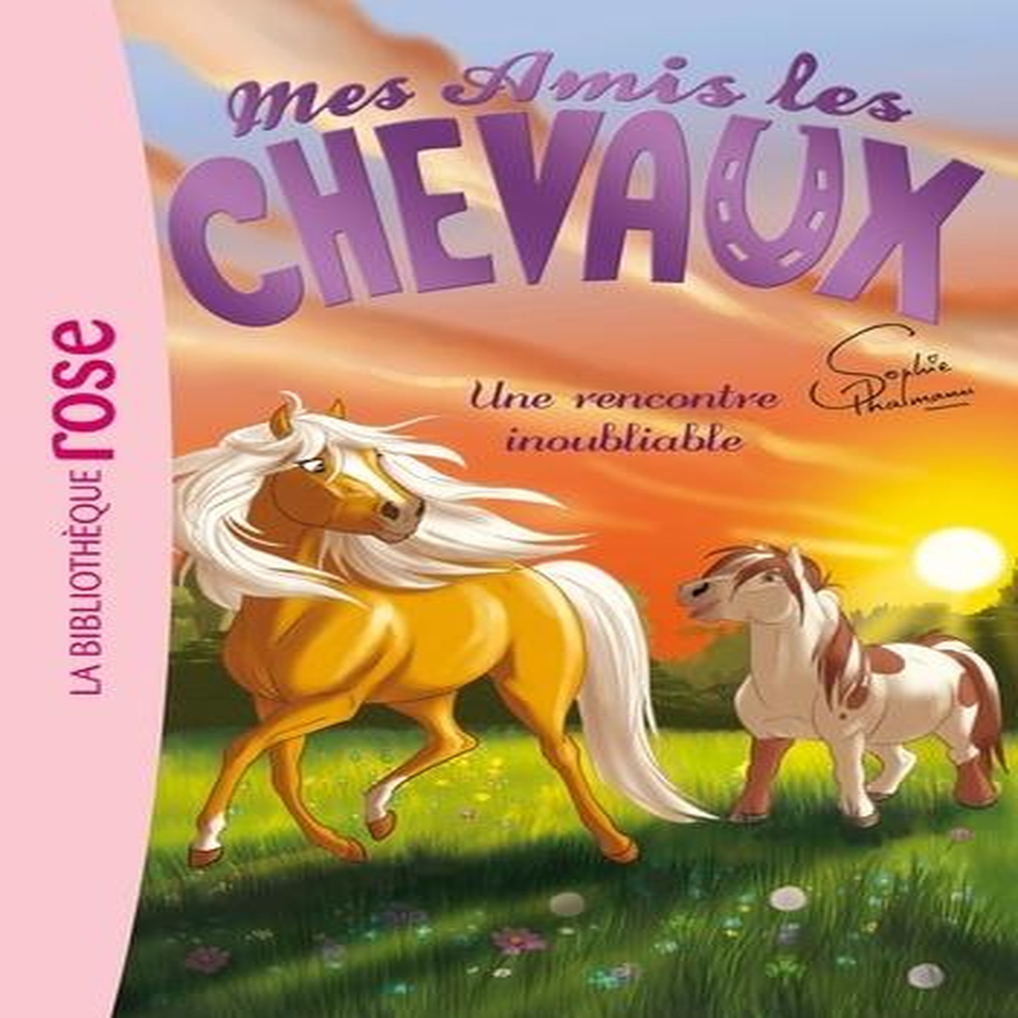 MES AMIS LES CHEVAUX TOME 6 : UNE RENCONTRE INOUBLIABLE, Thalmann Sophie