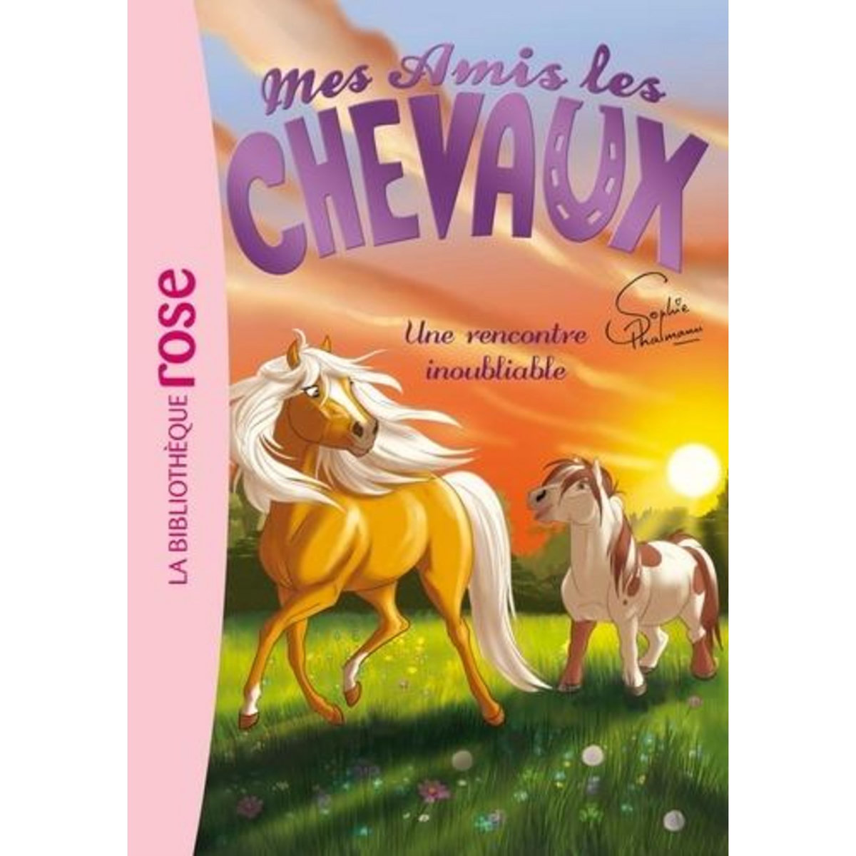 MES AMIS LES CHEVAUX TOME 6 : UNE RENCONTRE INOUBLIABLE, Thalmann Sophie