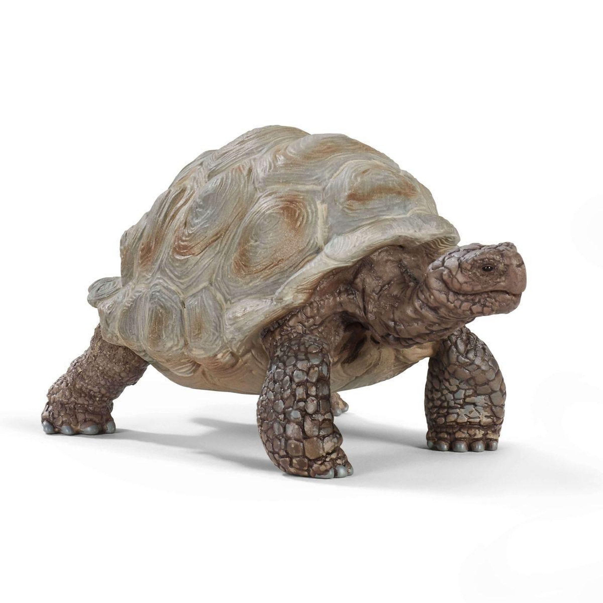 Voir la diapositive 2 : Schleich 14824 la tortue geante figurine