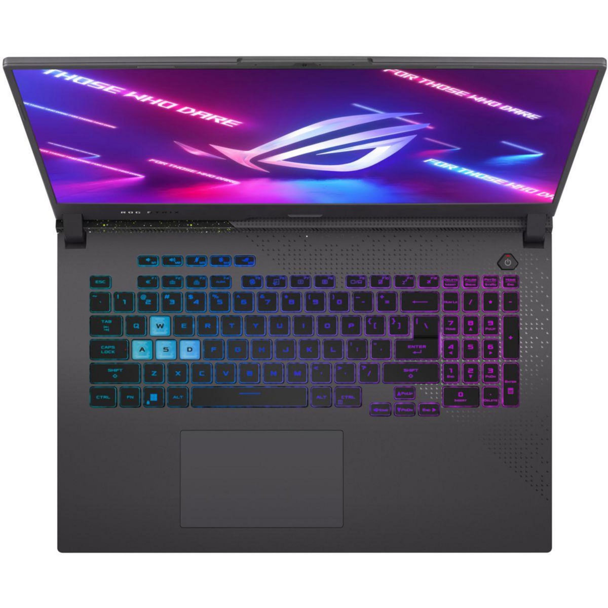 ASUS PC Gamer ROG STRIX G17 G713PI-HX113W