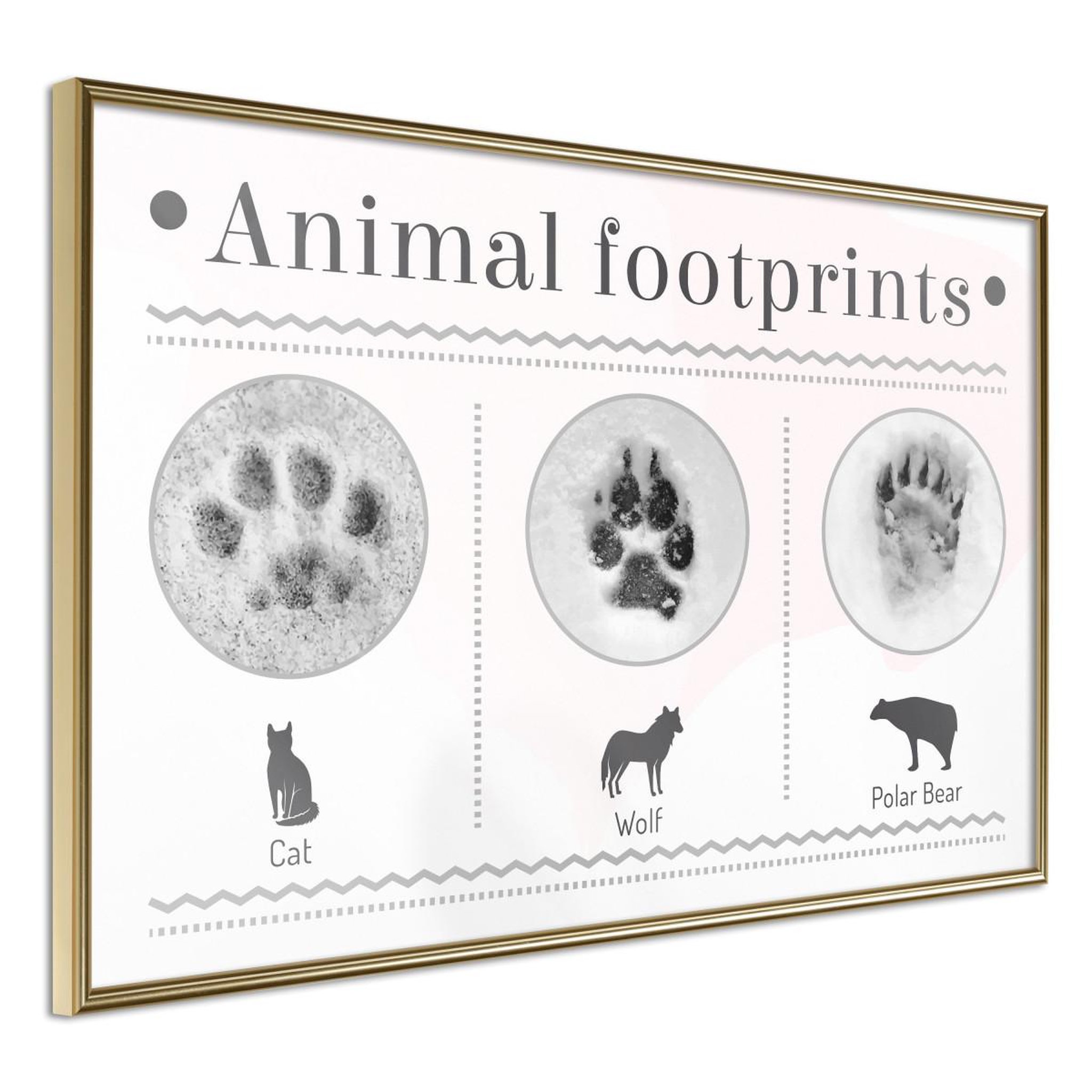 Voir la diapositive 1 : Paris Prix Affiche murale encadrée  how to recognize an animal