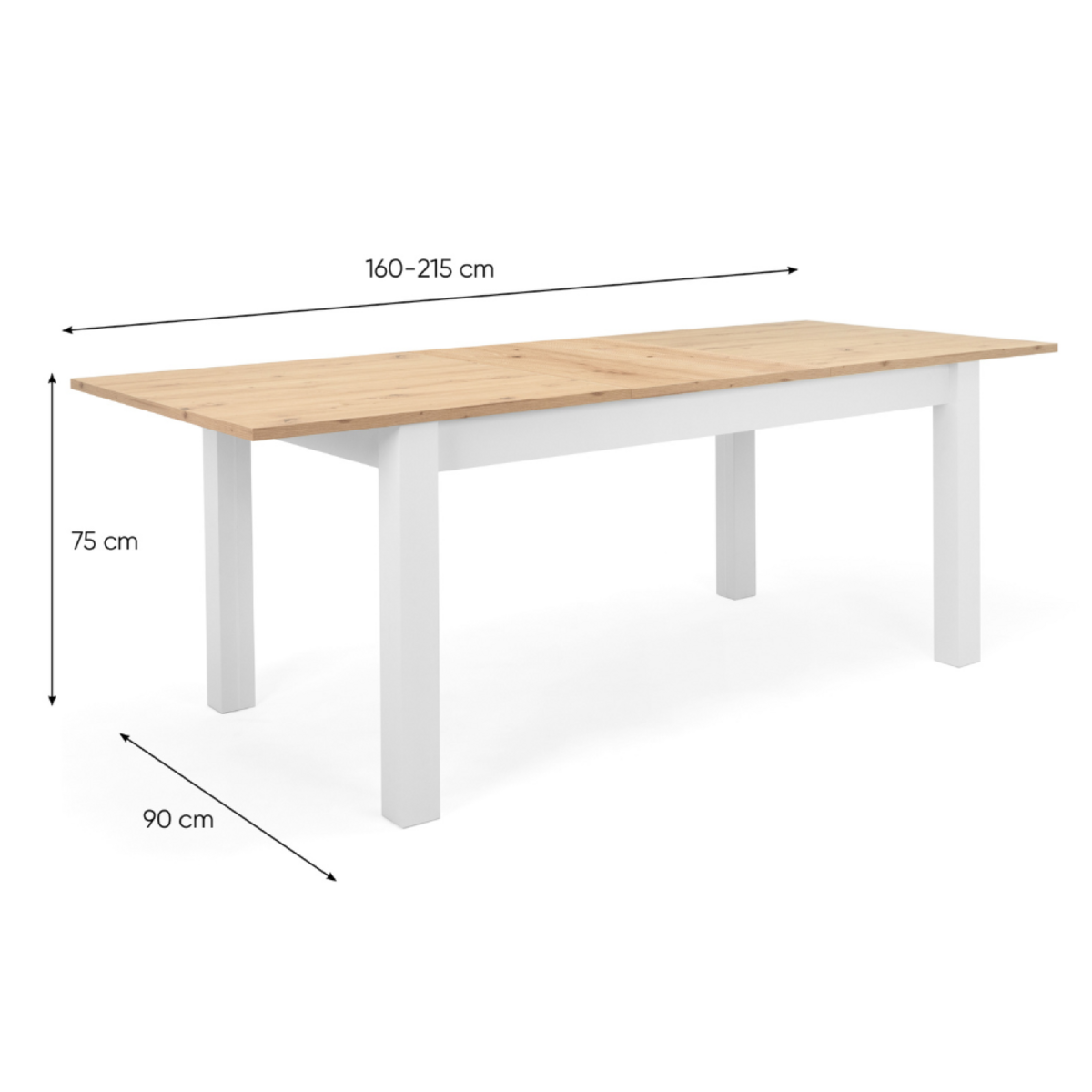 CONCEPT USINE Table à manger extensible style scandinave, bois 10 personnes SKADAR