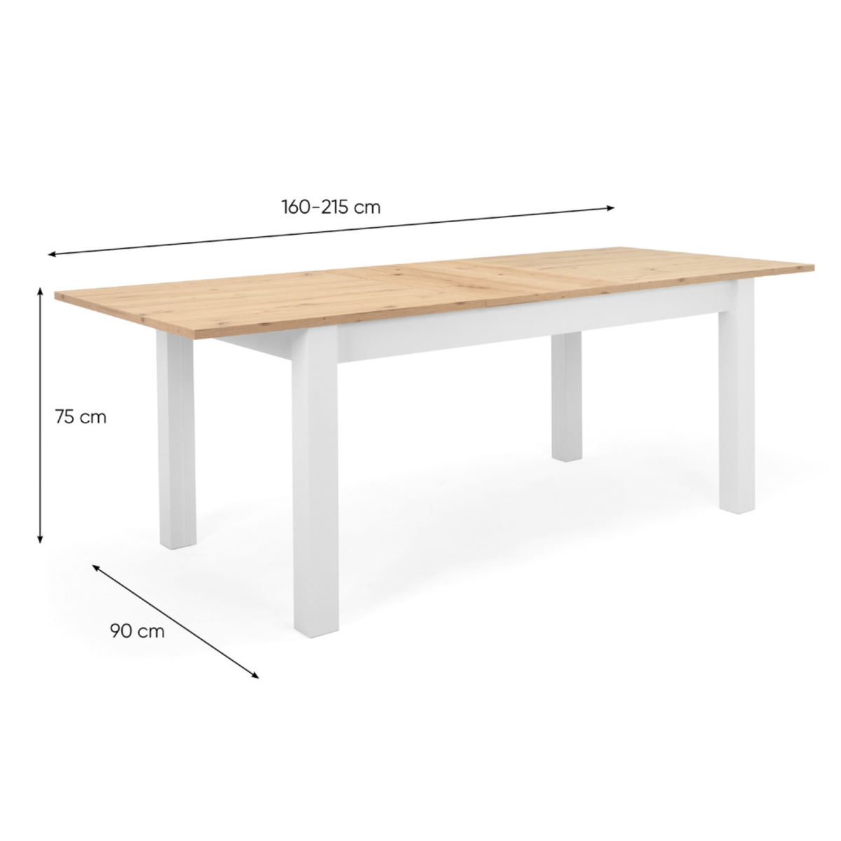 CONCEPT USINE Table à manger extensible style scandinave, bois 10 personnes SKADAR