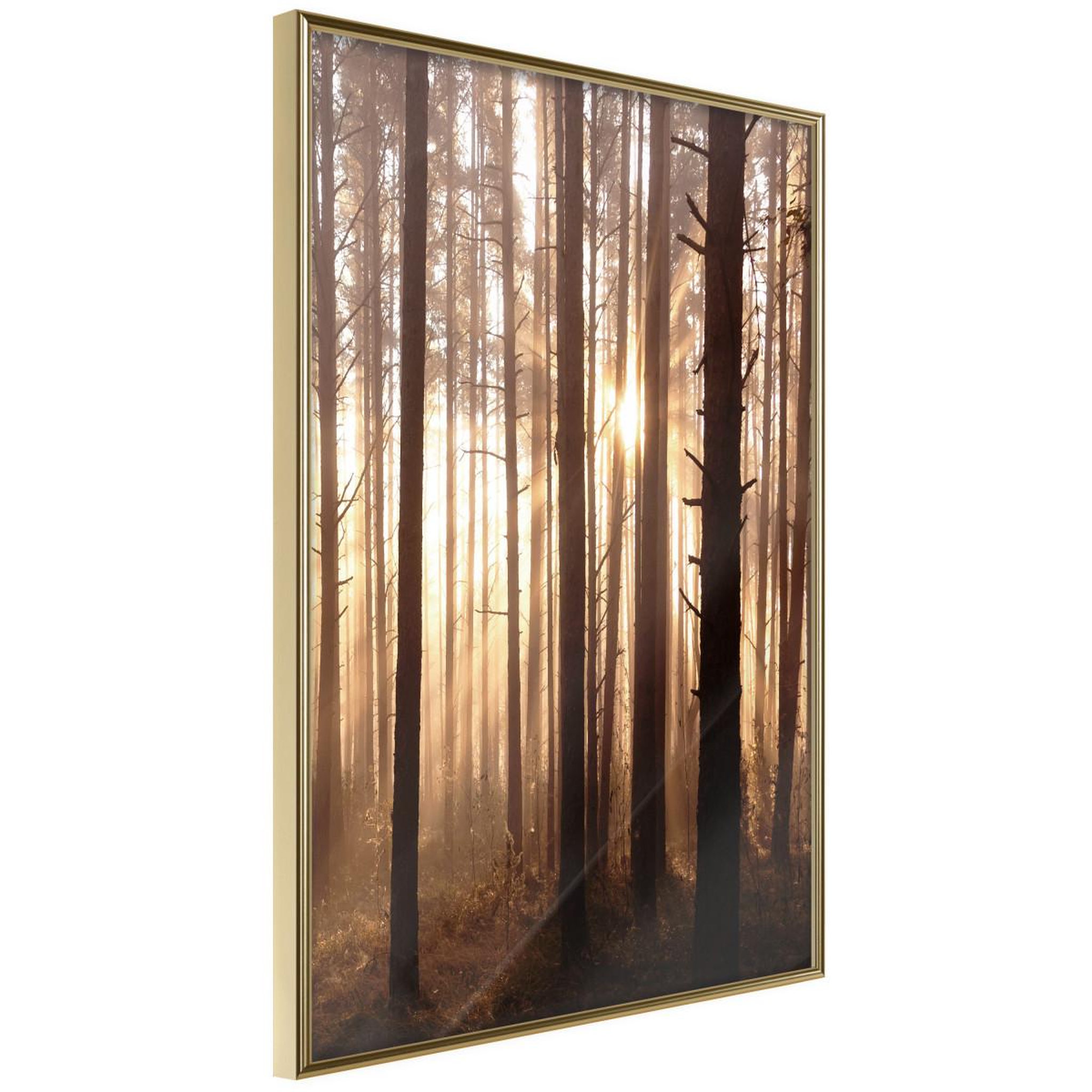 Voir la diapositive 1 : Paris Prix Affiche Murale Encadrée  Morning in the Forest