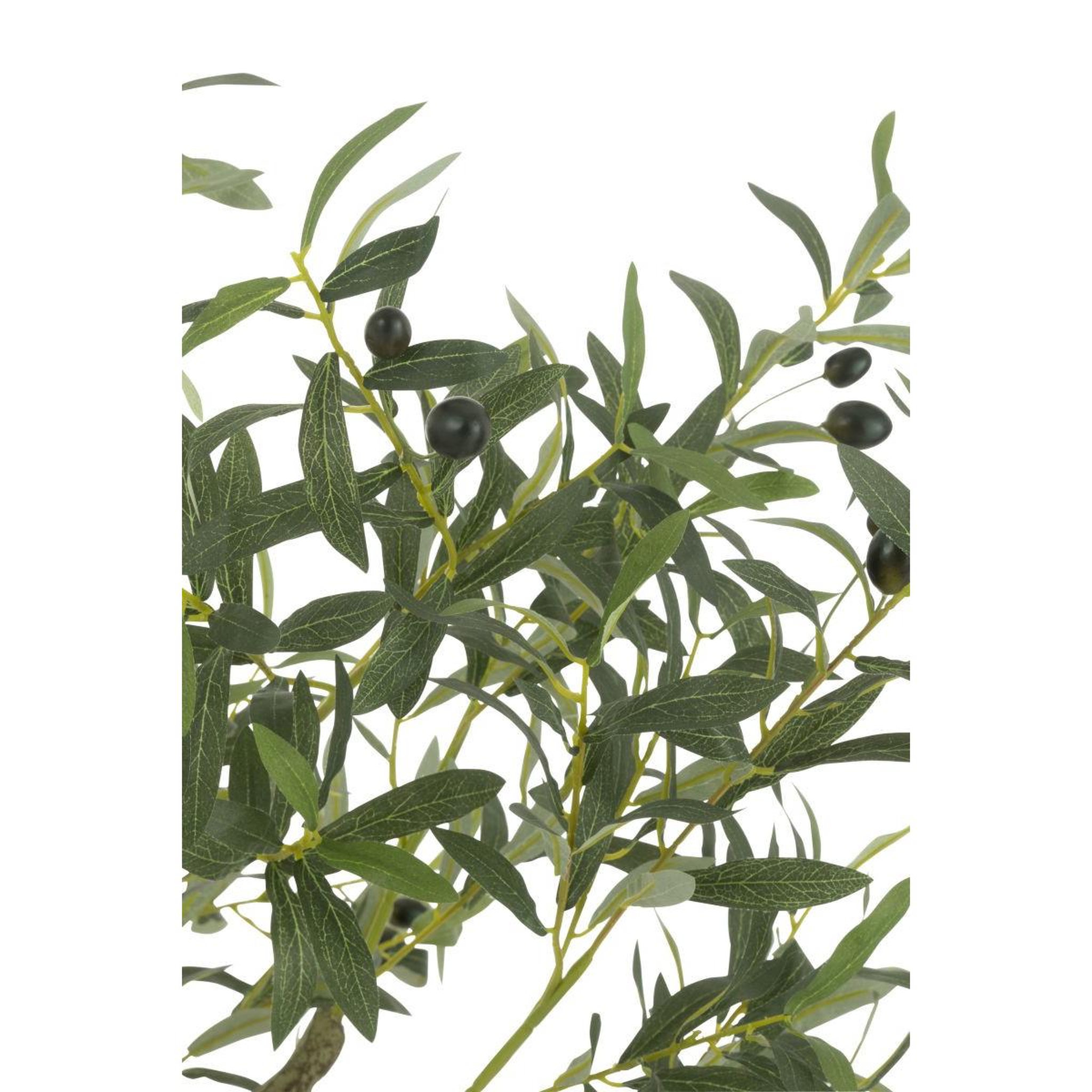 Voir la diapositive 2 : J-LINE Plante artificielle en pot  olivier  150cm vert