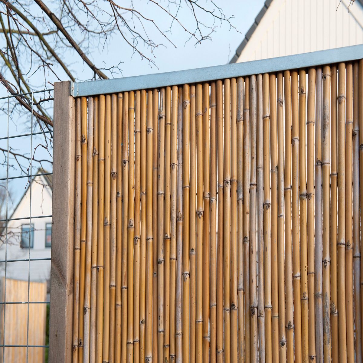 NATURE Ecran brise vue bambou naturel 100x180 cm
