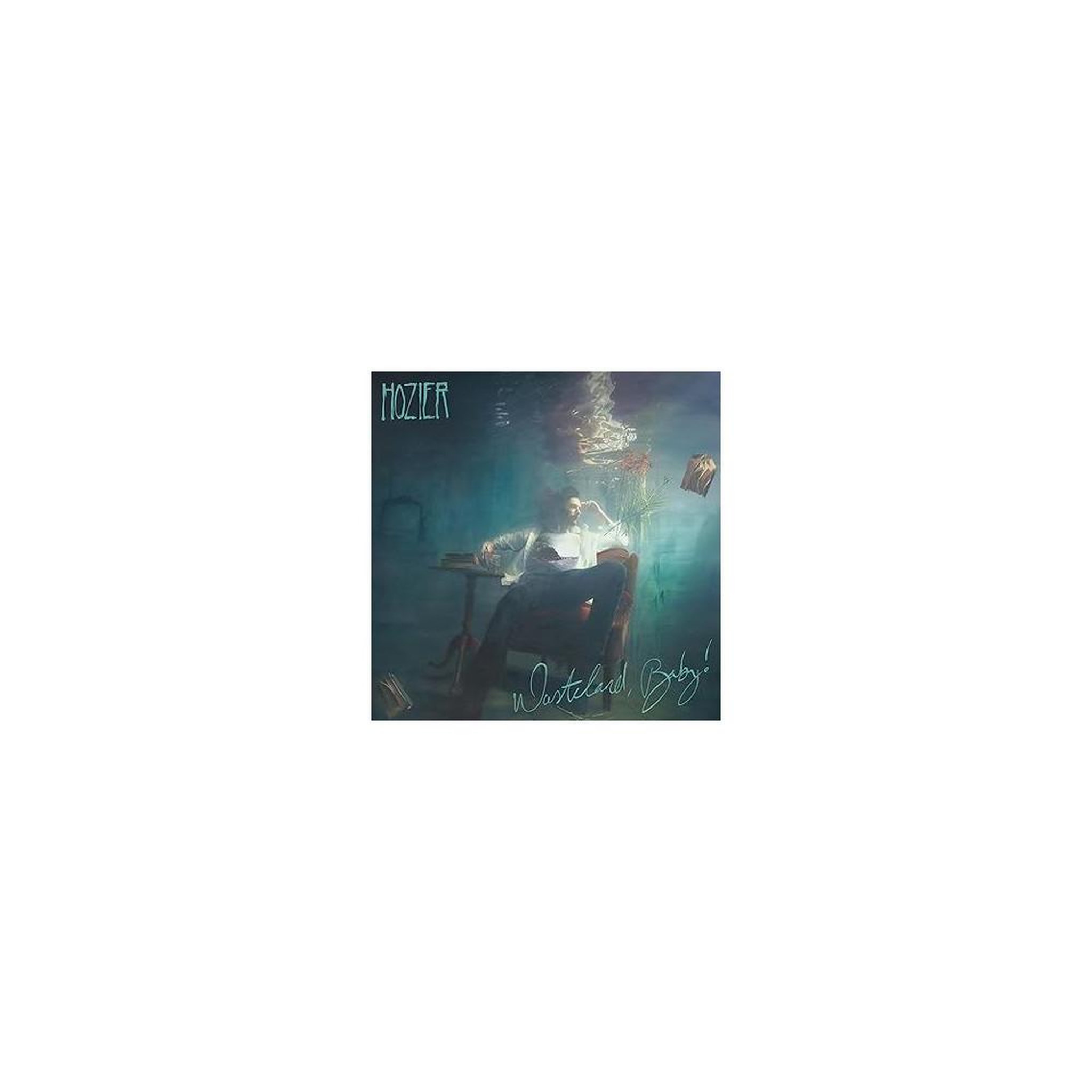 Album vinyle hozier wasteland, baby! Artwork style sombre sous-marin (2 disques)