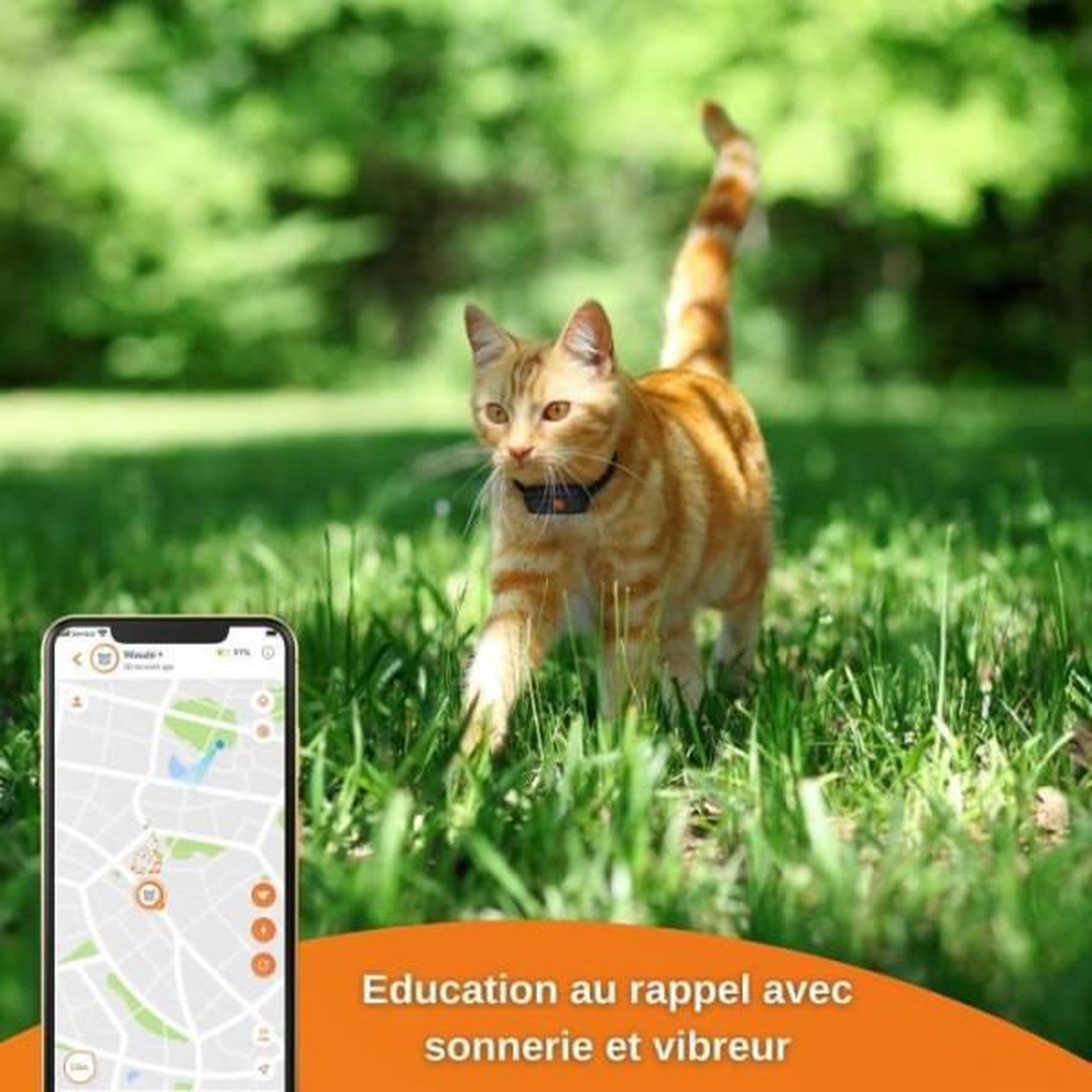 Voir la diapositive 3 : WEENECT Traceur GPS pour Chat - Weenect XS (Black Edition 2023)