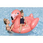 Voir la diapositive 4 : BESTWAY Bouée a chevaucher - Bestway - Flamant rose - 138 x 107 cm