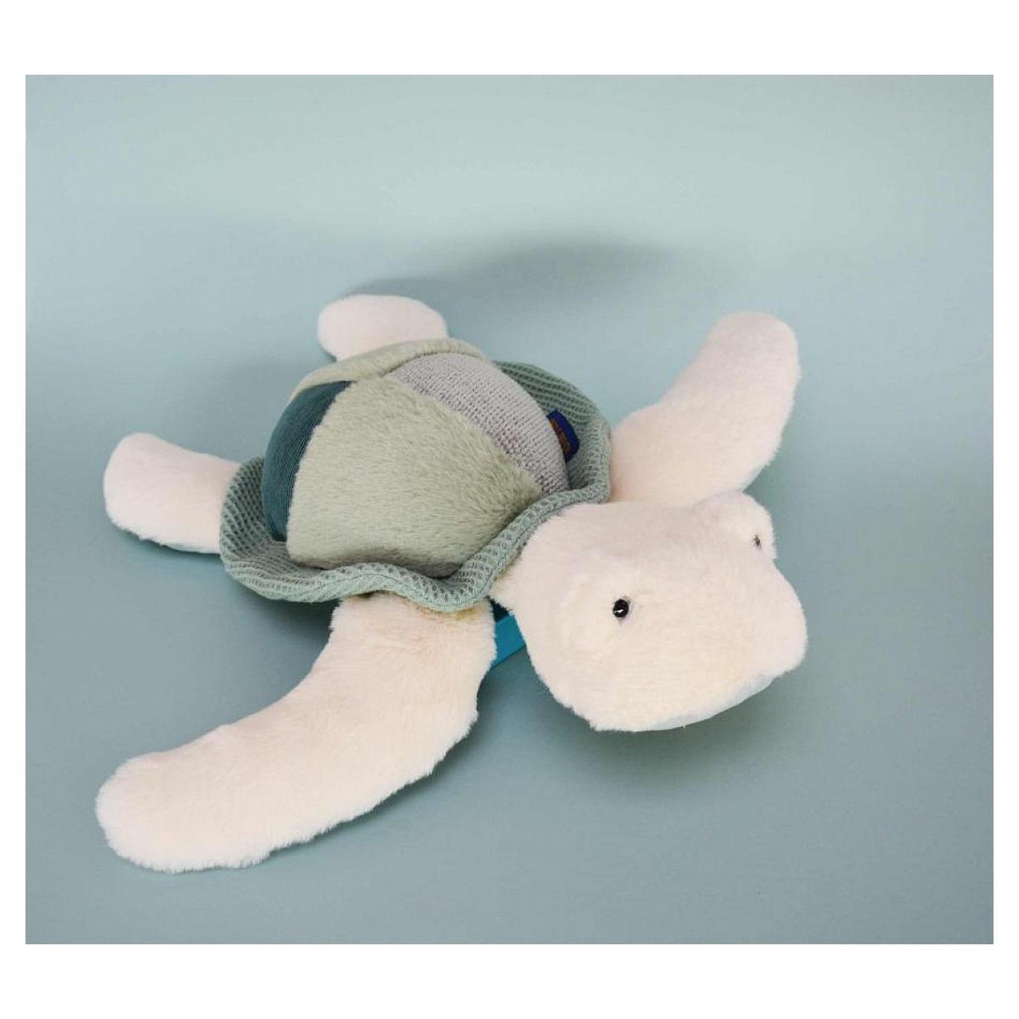 Voir la diapositive 3 : Histoire D'Ours Peluche - Tortue de mer verte