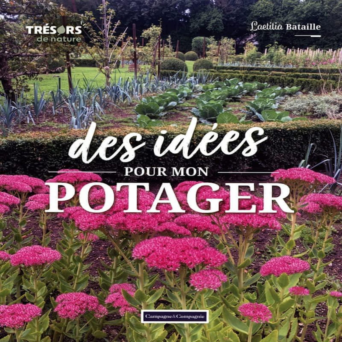 DES IDEES POUR MON POTAGER, Bataille Laetitia