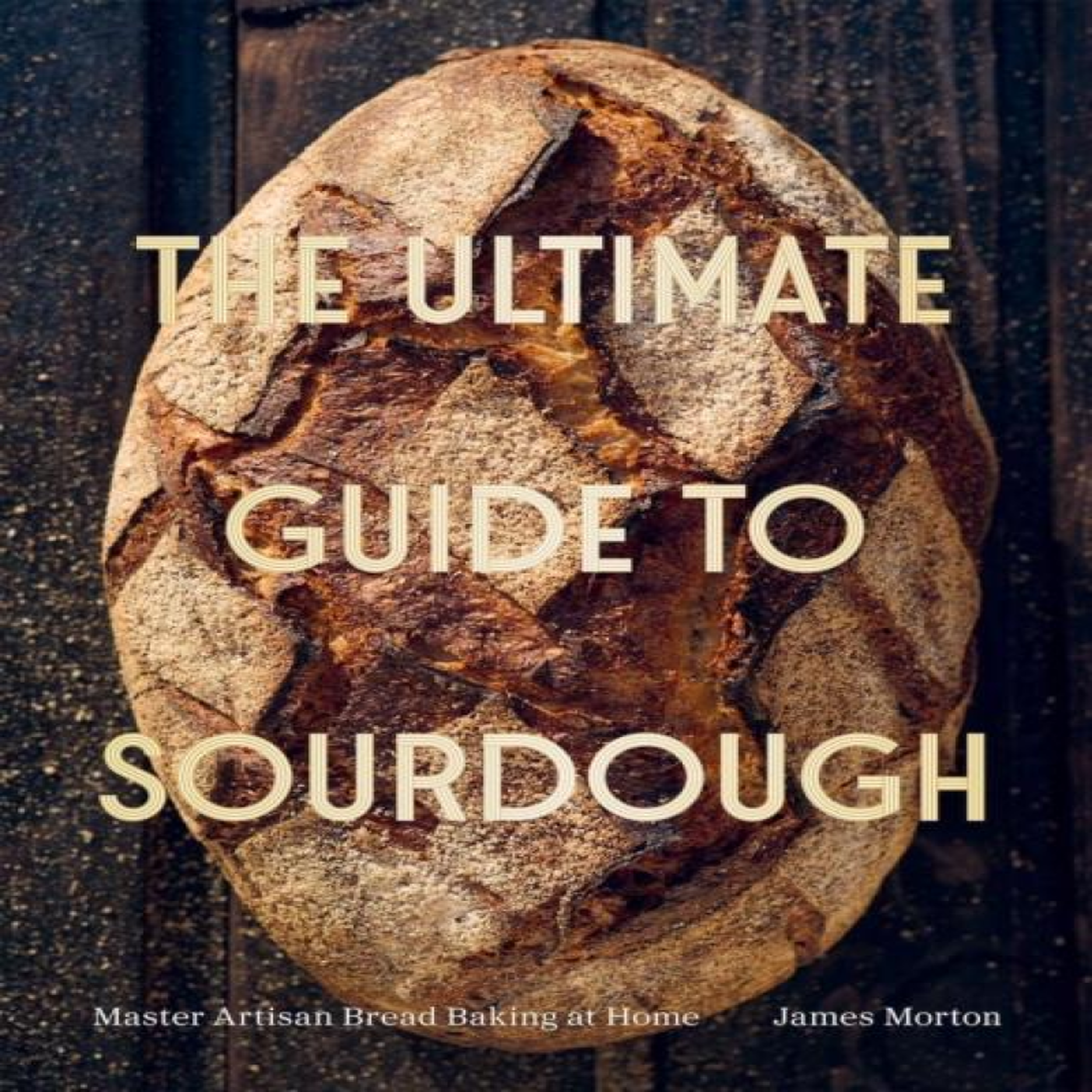 LIVRES The Ultimate Guide to Sourdough: How to Make Perfect Artisan and Sourdough Bread at Home