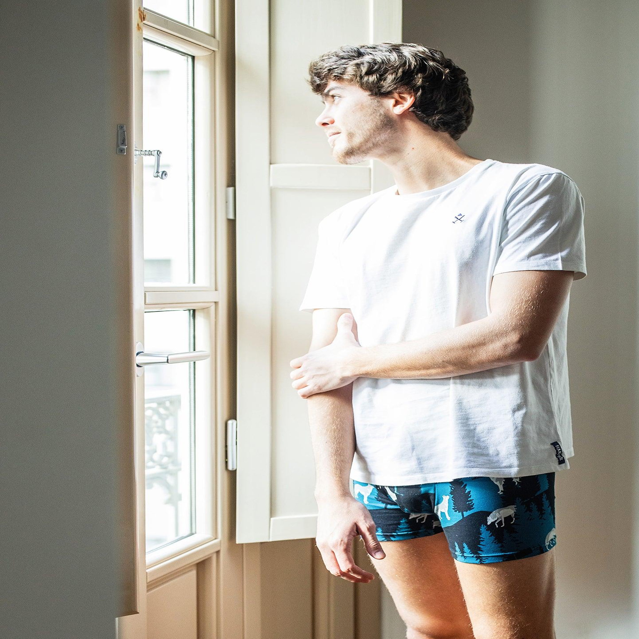 Voir la diapositive 5 : DEDOLES Boxer homme loup à la lune