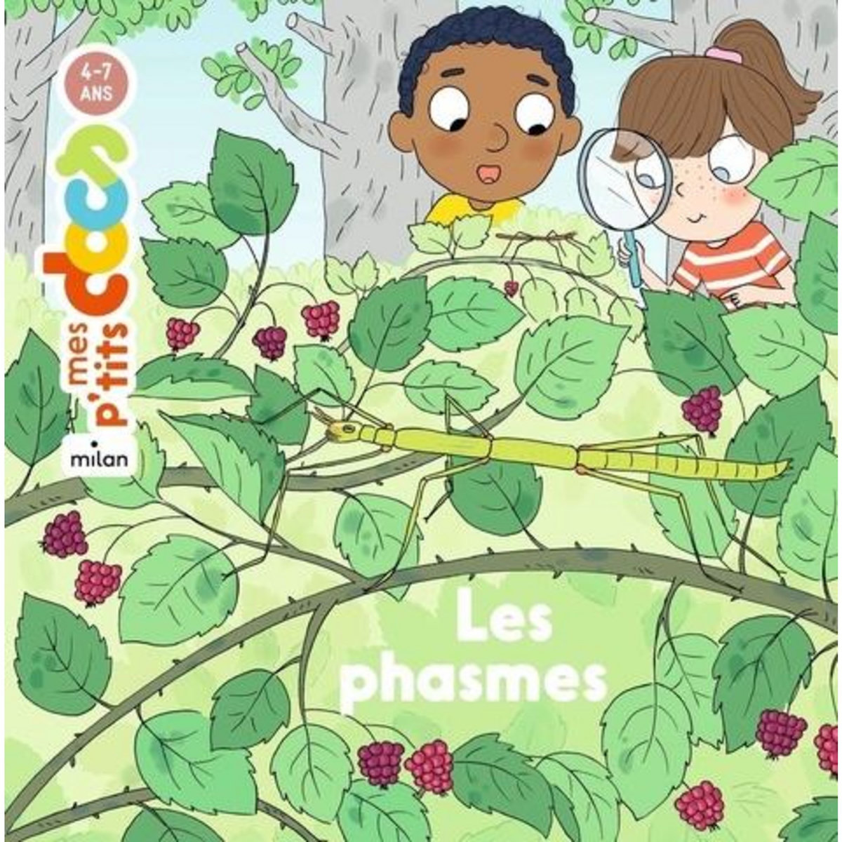 LES PHASMES, Ledu Stéphanie