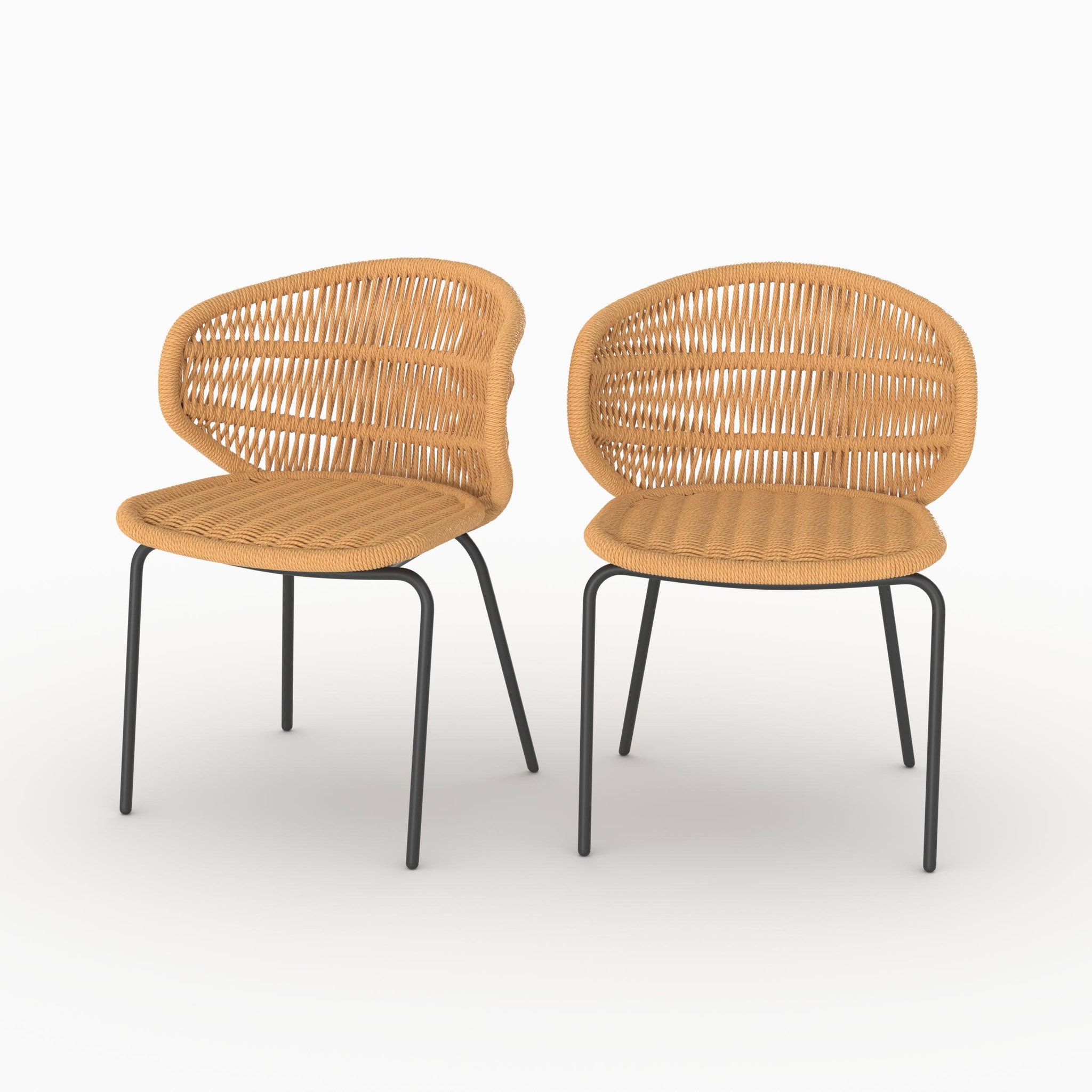 MAISON PAVANE Lot de 2 chaises de jardin en rotin synthétique-lara