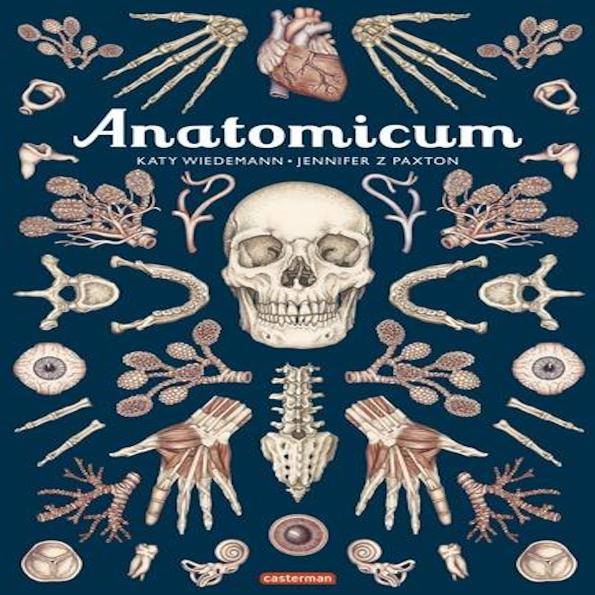 ANATOMICUM, Paxton Jennifer Z