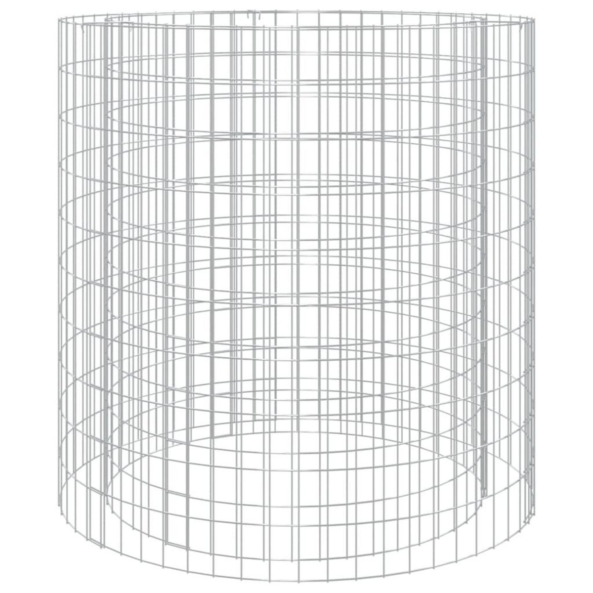 VIDAXL Foyer en gabion Ø 100 cm fer galvanise