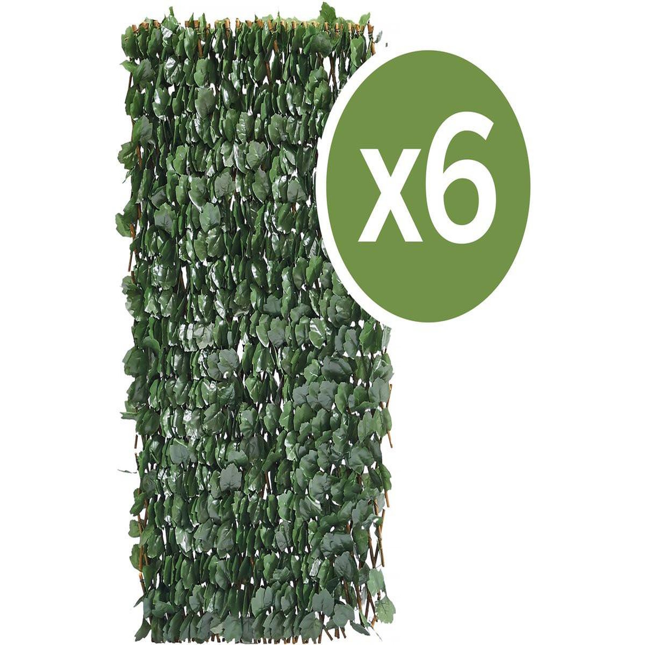 Voir la diapositive 1 : Habitat et Jardin Lot de 6 clôtures en treillis de saule  fragon  - 200 x 100 cm - vert