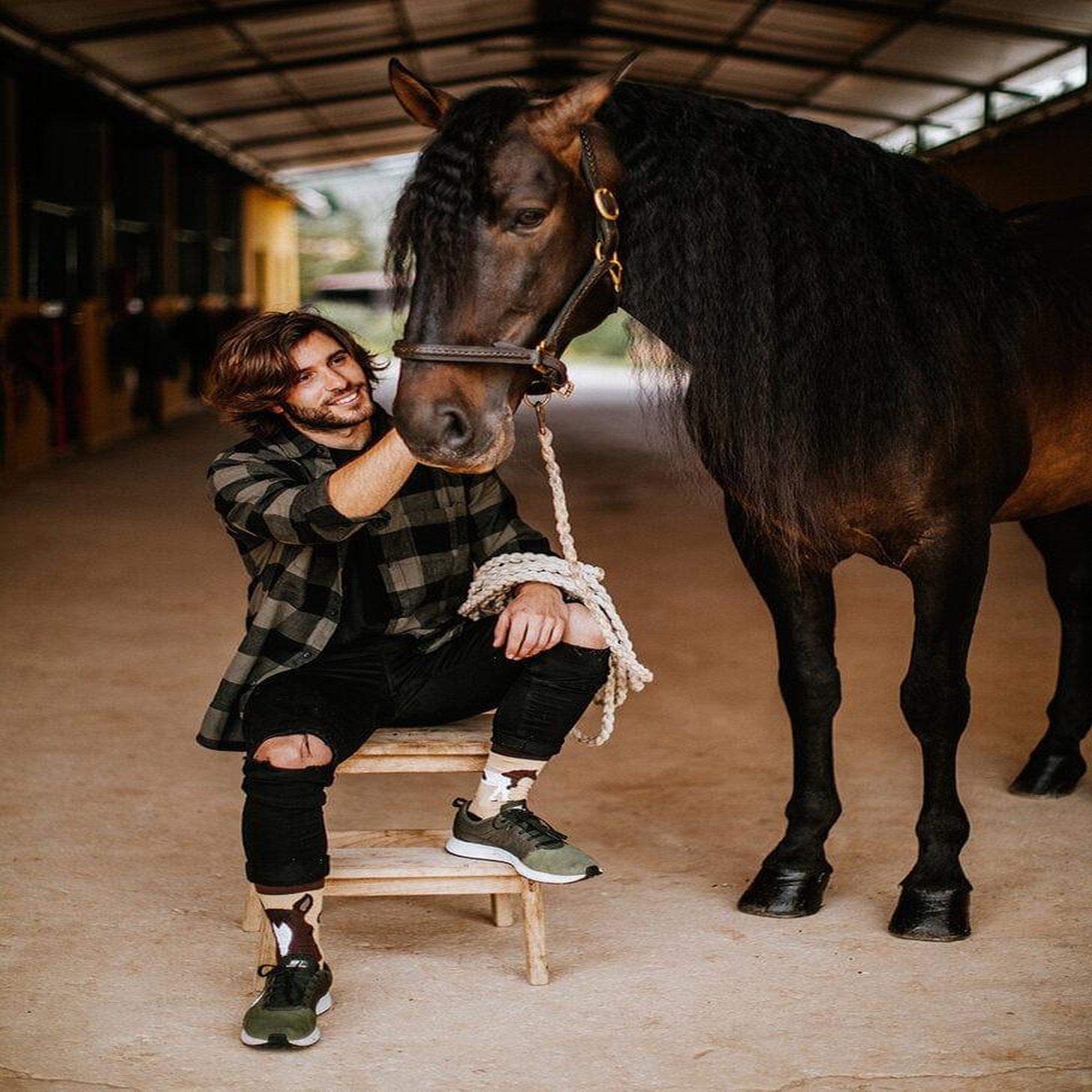 Voir la diapositive 5 : DEDOLES Chaussettes dedoles chevaux