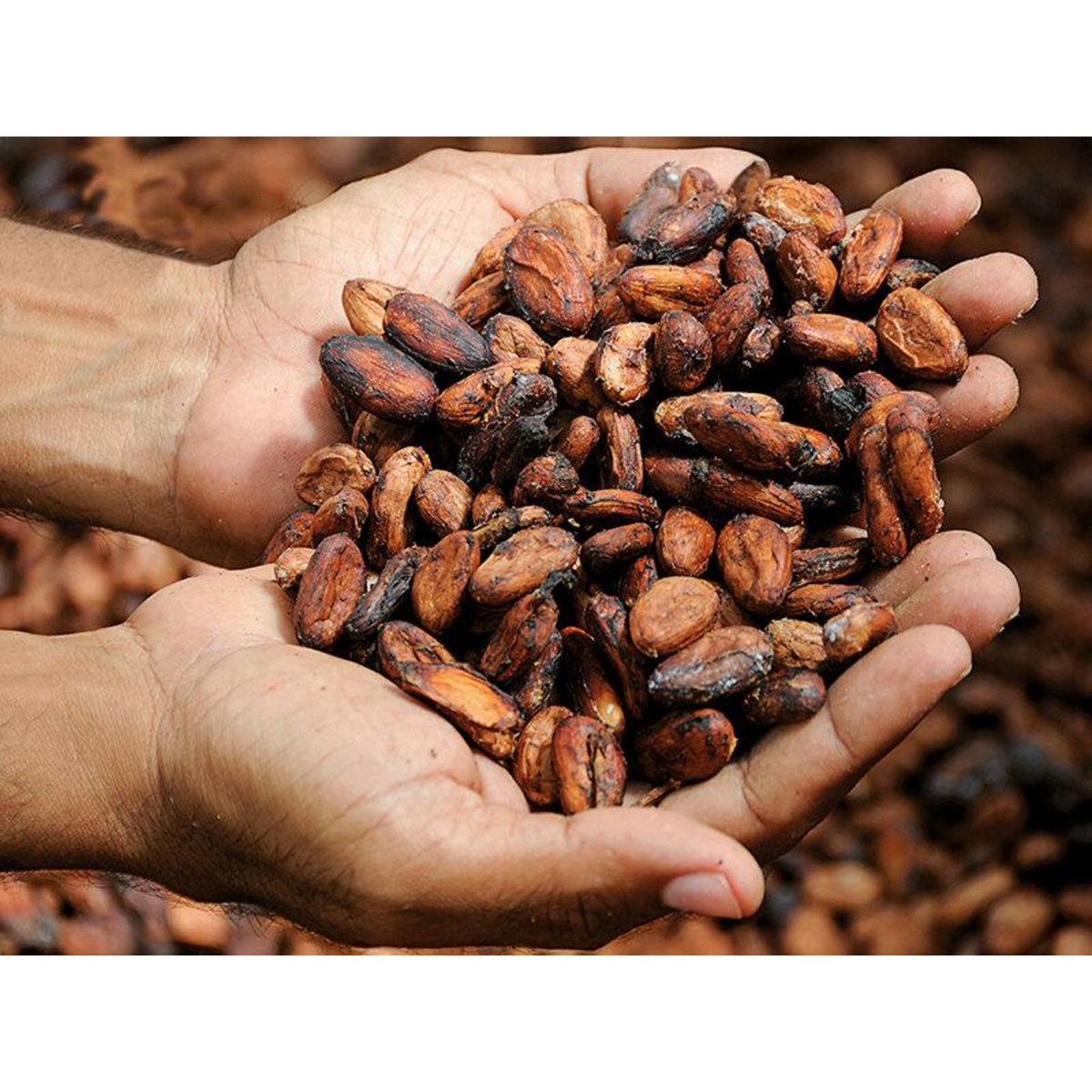 Smartbox une entrée au musée Choco-Story avec dégustation pour 2 personnes - Coffret Cadeau Sport & Aventure