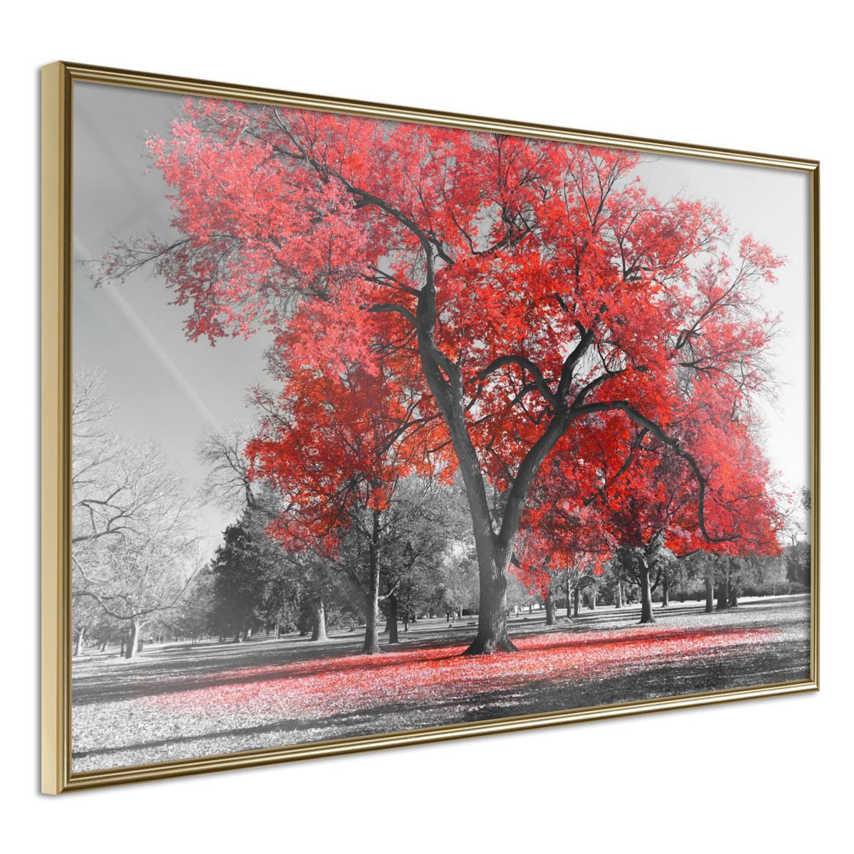 Paris Prix Affiche Murale Encadrée  Red Tree