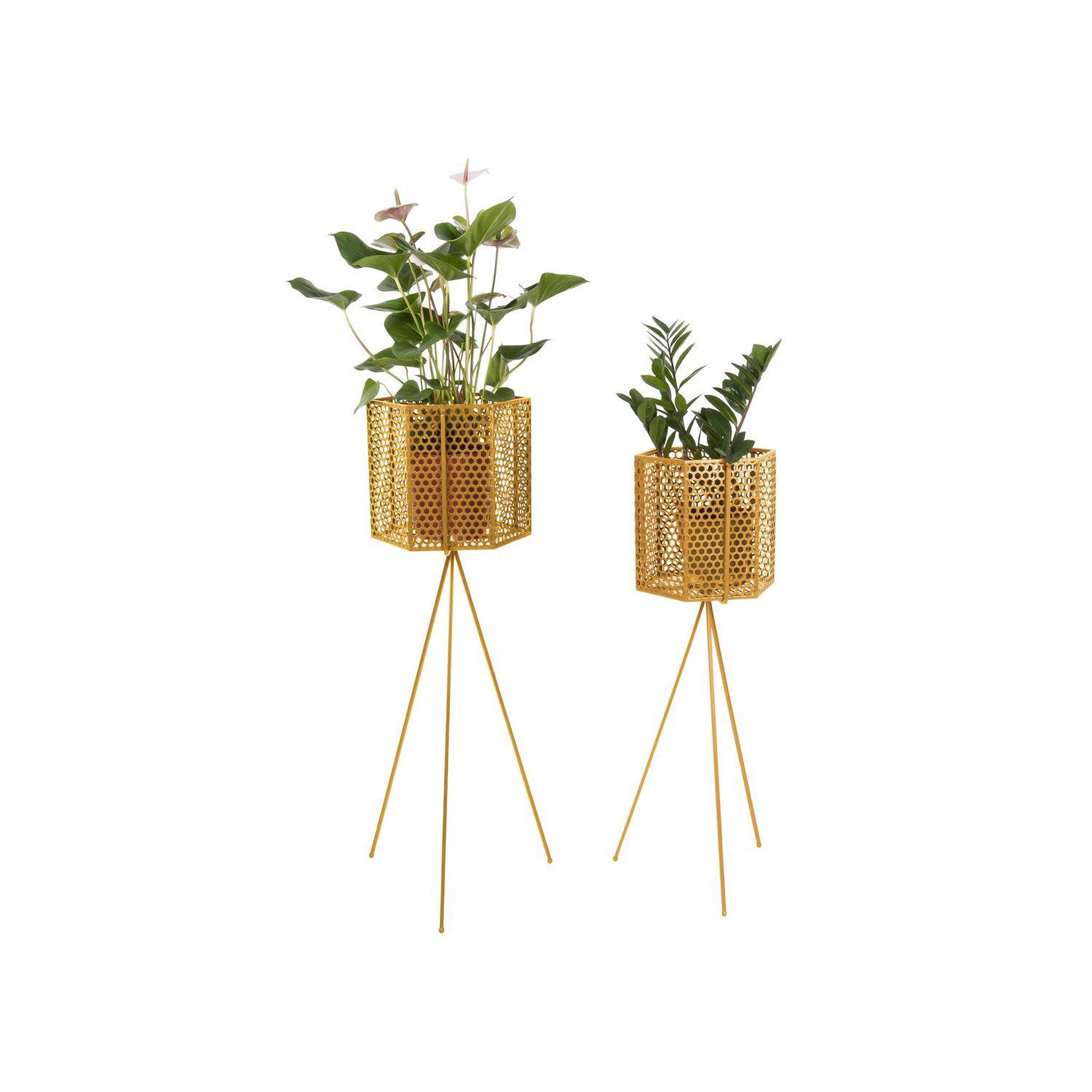 Voir la diapositive 2 : PRESENT TIME 2 Cache-pots sur pieds en métal Mesh