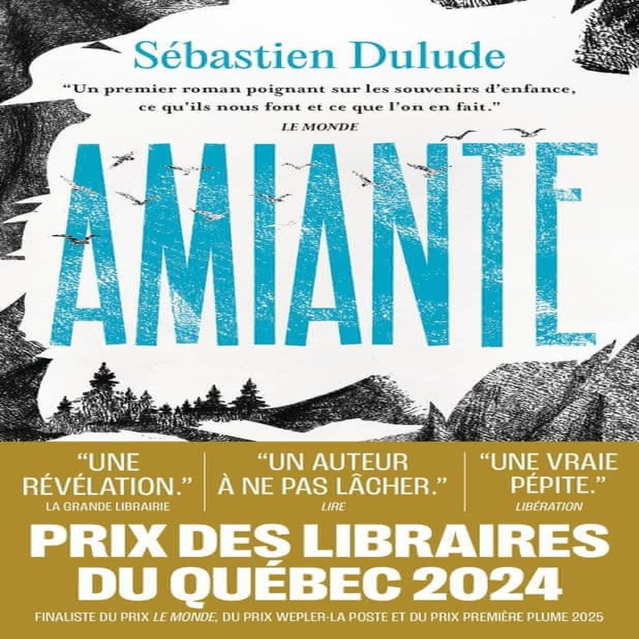 AMIANTE, Dulude Sébastien