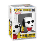 Funko Figurine Funko Pop and Buddy Peanuts S7 Joe Cool & Woodstock