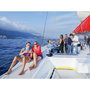 Voir la diapositive 3 : Smartbox Demi-journée d'excursion en catamaran dans le golfe d'Ajaccio - Coffret Cadeau Sport & Aventure