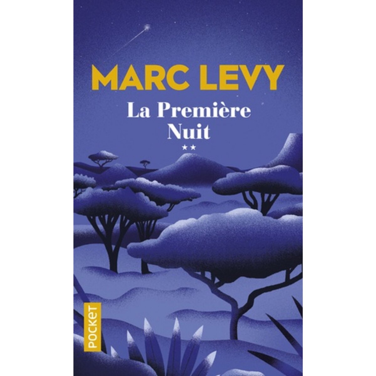  LA PREMIERE NUIT, Levy Marc