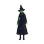 Voir la diapositive 4 : MATTEL Mattel-Wicked-Poupée Elphaba avec accessoires et habillages amovibles - Wicked - HXT62