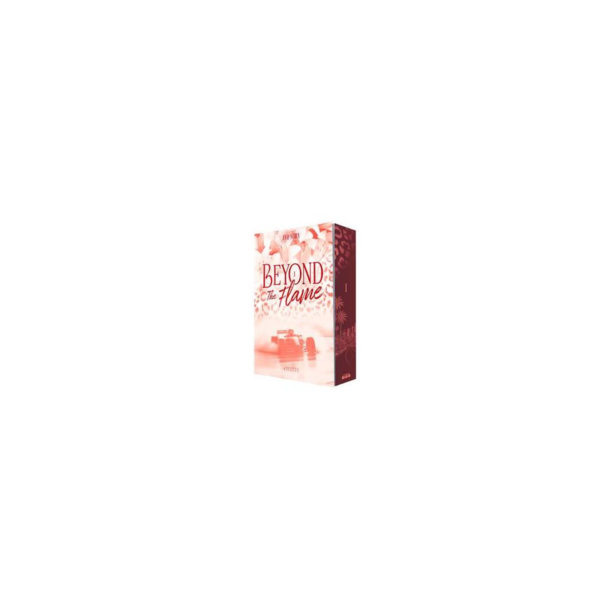 Roman new adult « beyond the flame » d'eva sorn, édition broché, 450 pages