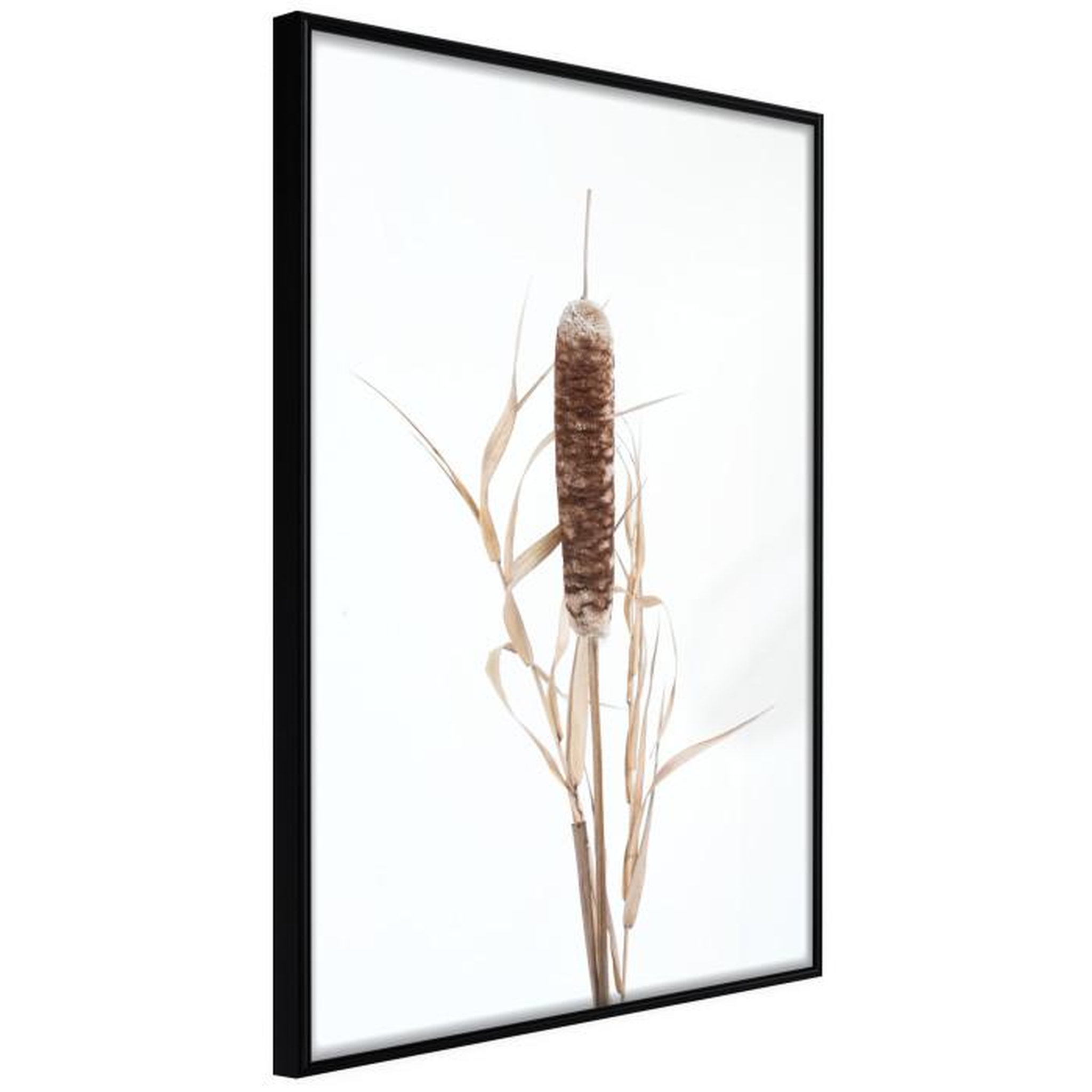 Paris Prix Affiche Murale Encadrée  Typha. Coloris disponibles : Jaune, Noir