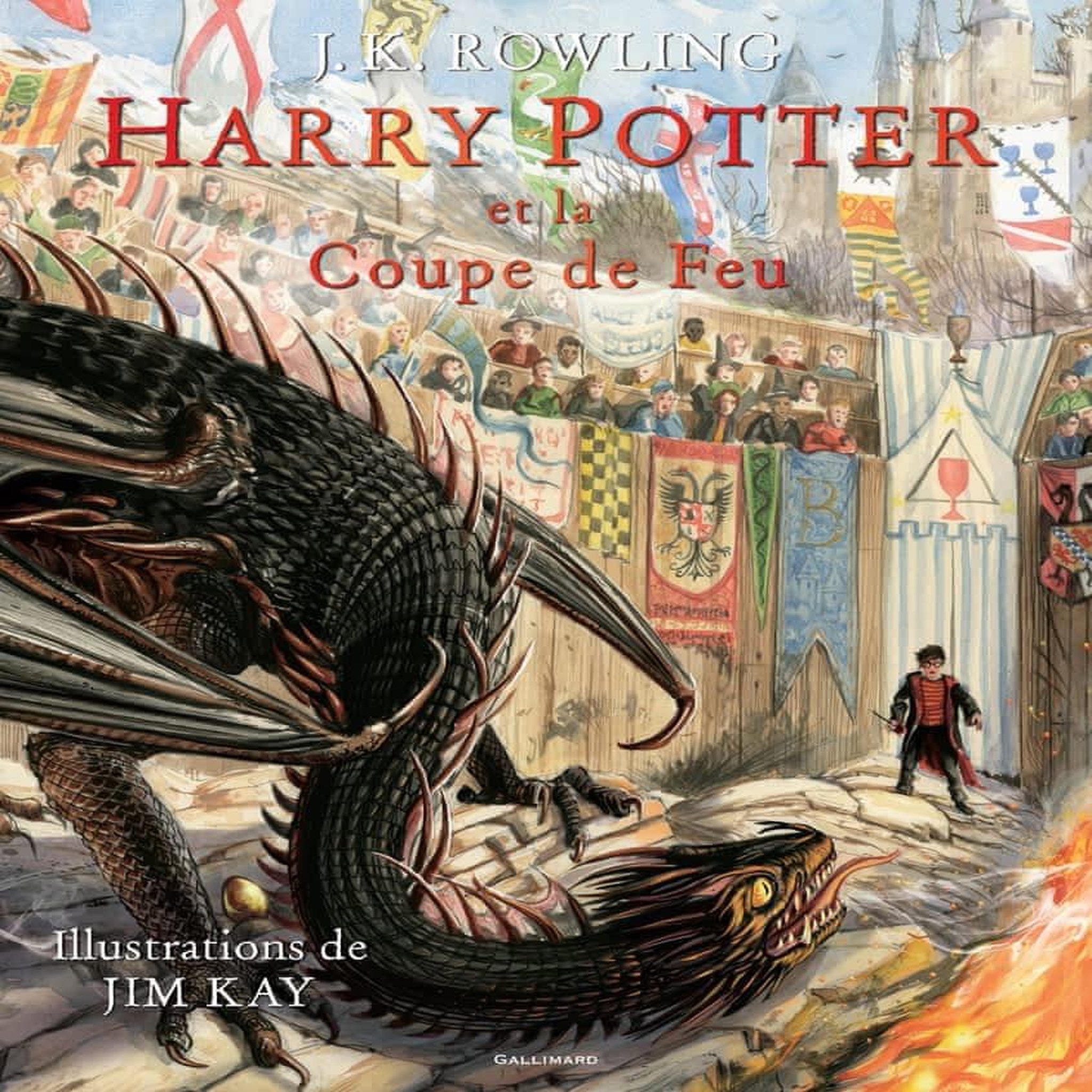 HARRY POTTER TOME 4 : HARRY POTTER ET LA COUPE DE FEU, Rowling J.K.