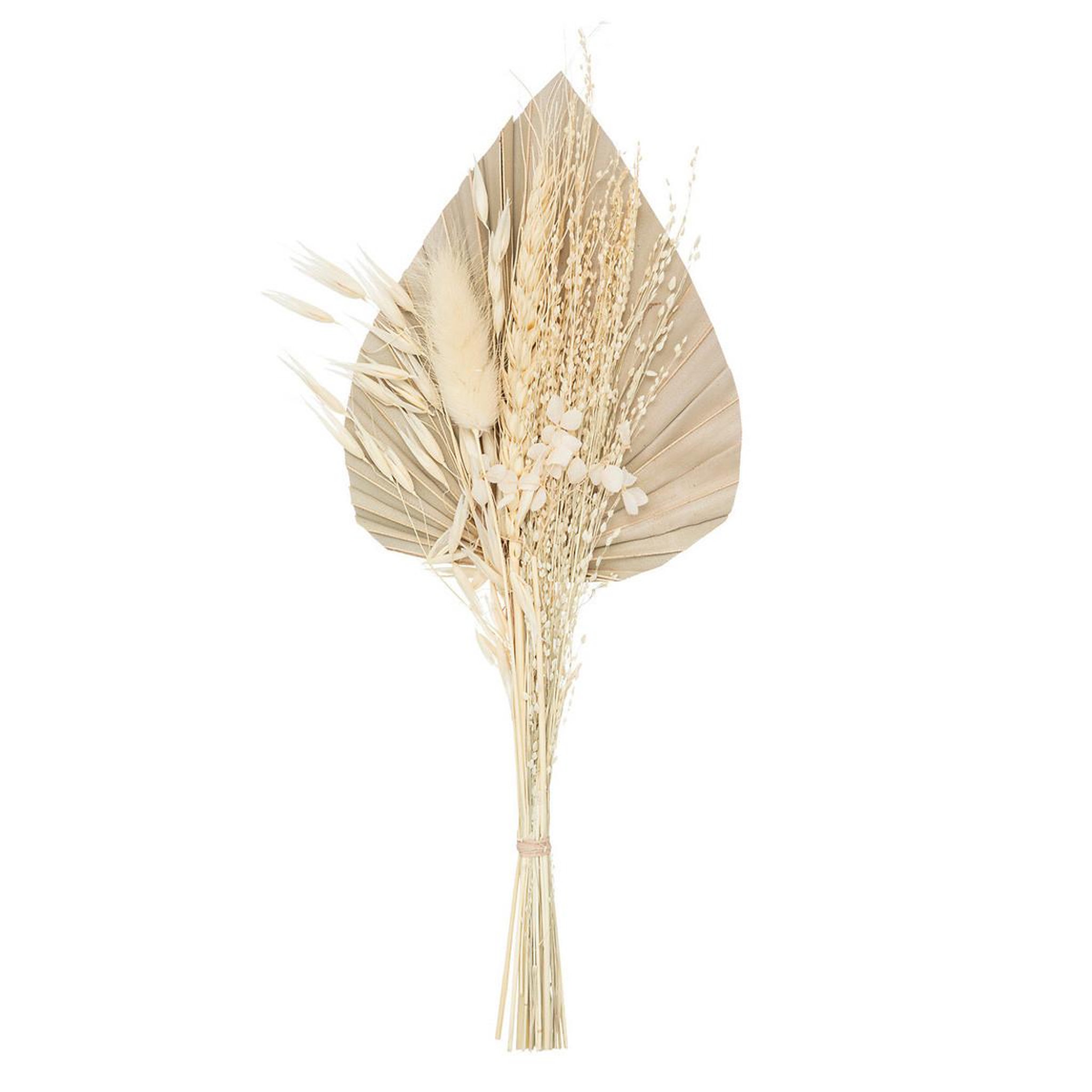 ATMOSPHERA Mini bouquet de fleurs naturelles  seav  30cm beige