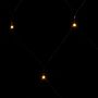 Voir la diapositive 5 : VIDAXL Filet lumineux blanc chaud de Noël 3x3 m 306 LED Int/ext