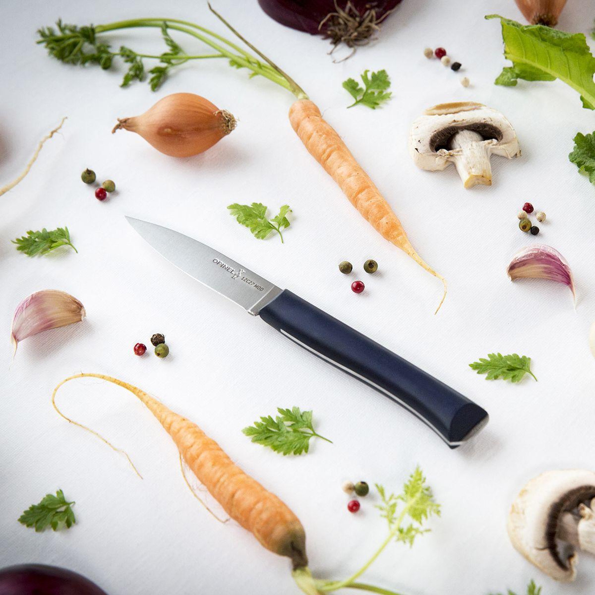 Voir la diapositive 5 : Opinel Couteau Intempora No225