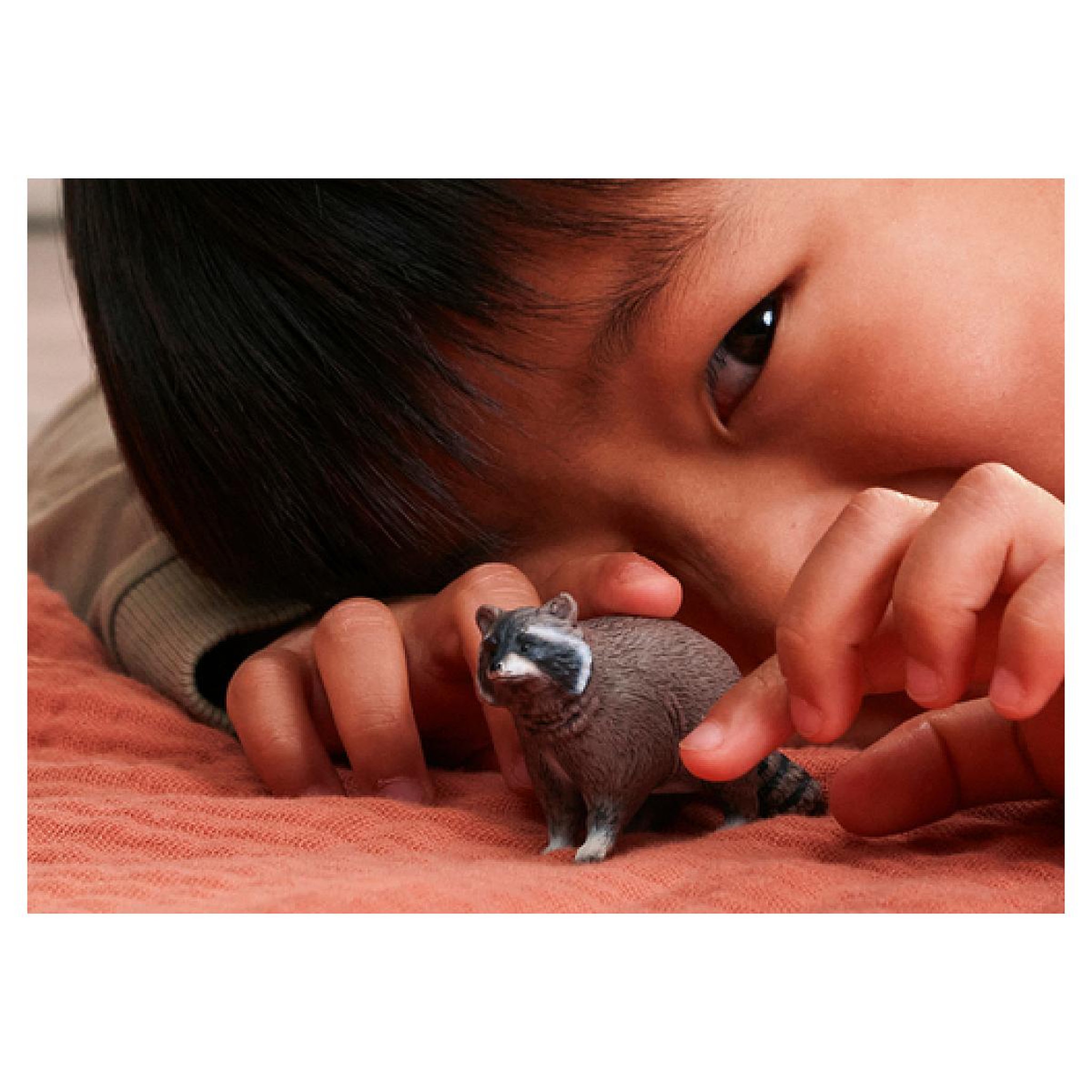 Voir la diapositive 3 : Schleich 14937 WILD LIFE Raton laveur